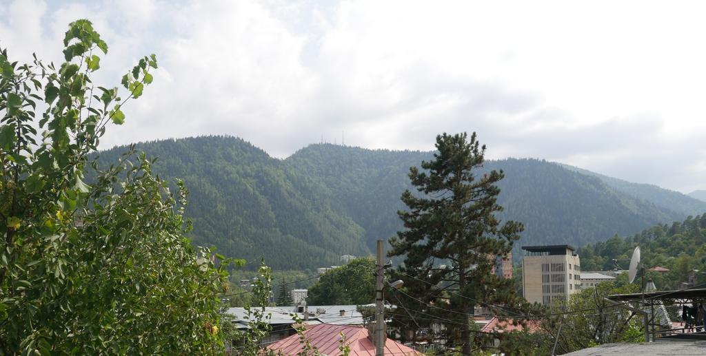 Luxury Apartment At Pirosmani 22 In Central Borjomi Dış mekan fotoğraf