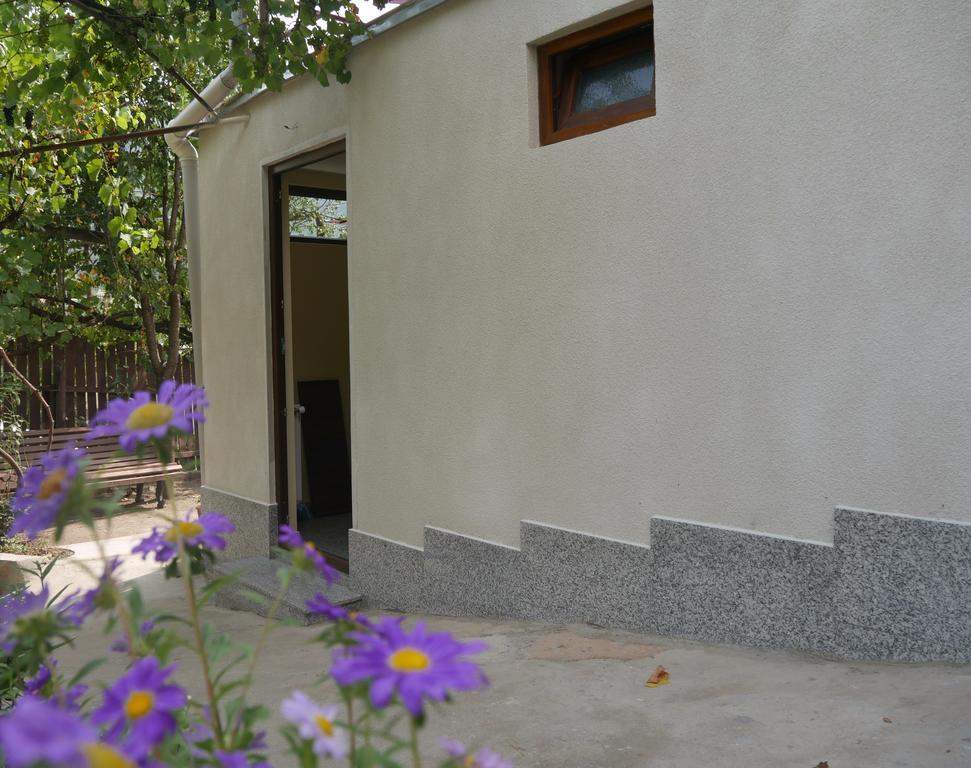 Luxury Apartment At Pirosmani 22 In Central Borjomi Dış mekan fotoğraf